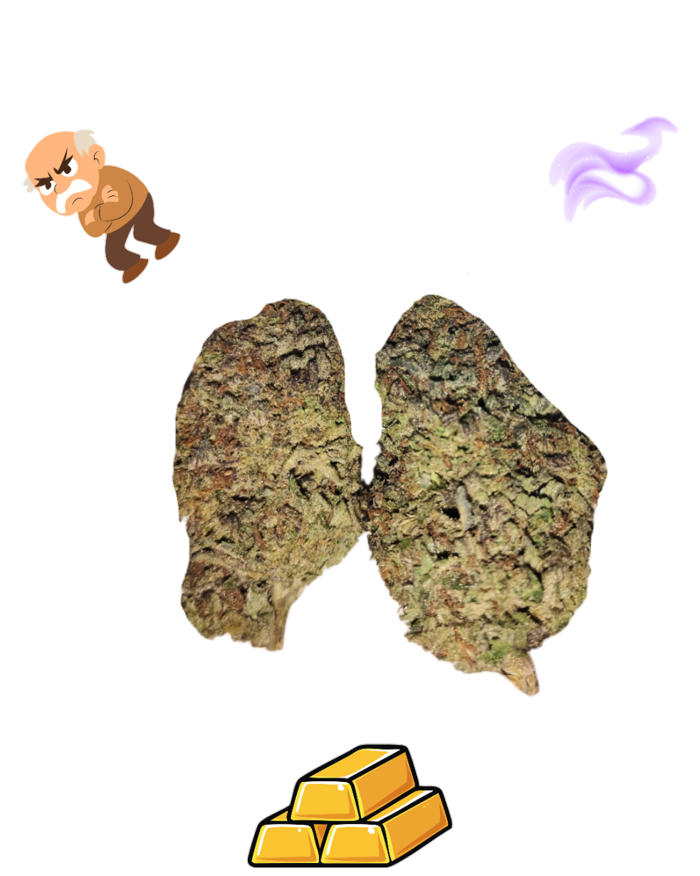 Grand Daddy Purp-Gold Tier-THCa(Indica) / 1g